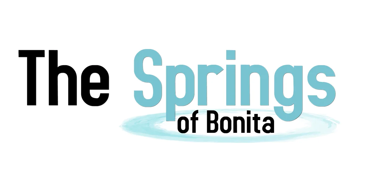 Path2Freedom Partner: The Springs of Bonita